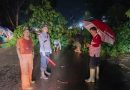 Cuaca Ekstrem, Tim I-Ceta BPBD Gercep Evakuasi Pohon Tumbang
