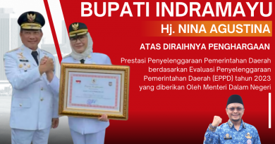 EPPD Kabupaten Indramayu Tempati Peringkat Ke-4 Nasional, Mendagri Serahkan Penghargaan Kepada Bupati Nina Agustina