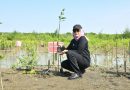 Tumbuhkan Harapan, Bupati Nina Agustina Tanam Mangrove sebagai Langkah Strategis dalam Pelestarian Lingkungan